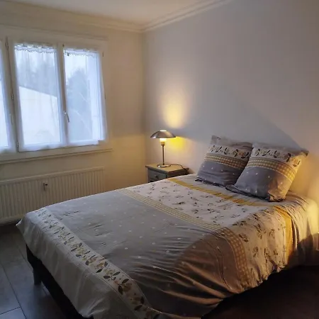 Lumineux Appartement Angers